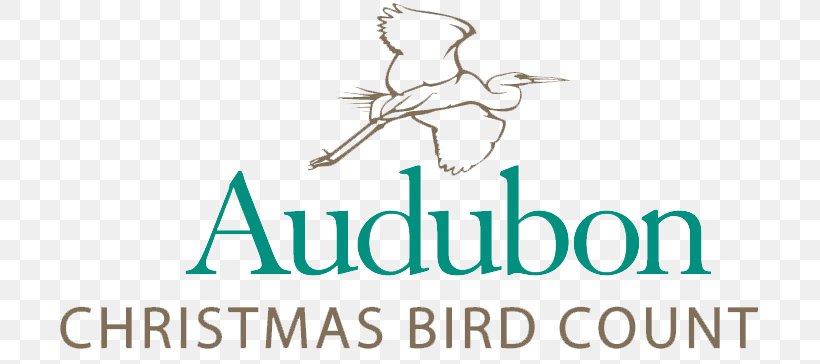 National Audubon Society Christmas Bird Count Conservation Png 705x364px National Audubon Society Audubon Bird Bird Conservation