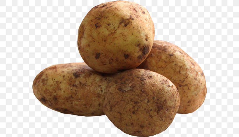 Russet Burbank Potato Yukon Gold Potato Irish Potato Candy Tuber STX EUA 800 F.SV.PR USD, PNG, 600x470px, Russet Burbank Potato, Food, Irish Potato Candy, Potato, Potato And Tomato Genus Download Free