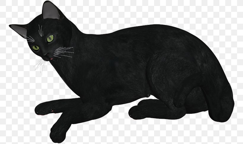 Black Cat Korat Bombay Cat Manx Cat Domestic Short-haired Cat, PNG, 764x486px, Black Cat, American Bobtail, Animal Figure, Asian, Bombay Download Free