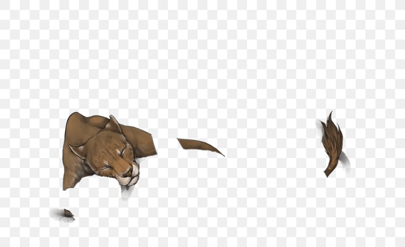 Canidae Bat Dog Mammal Snout, PNG, 640x500px, Canidae, Bat, Carnivoran, Dog, Dog Like Mammal Download Free