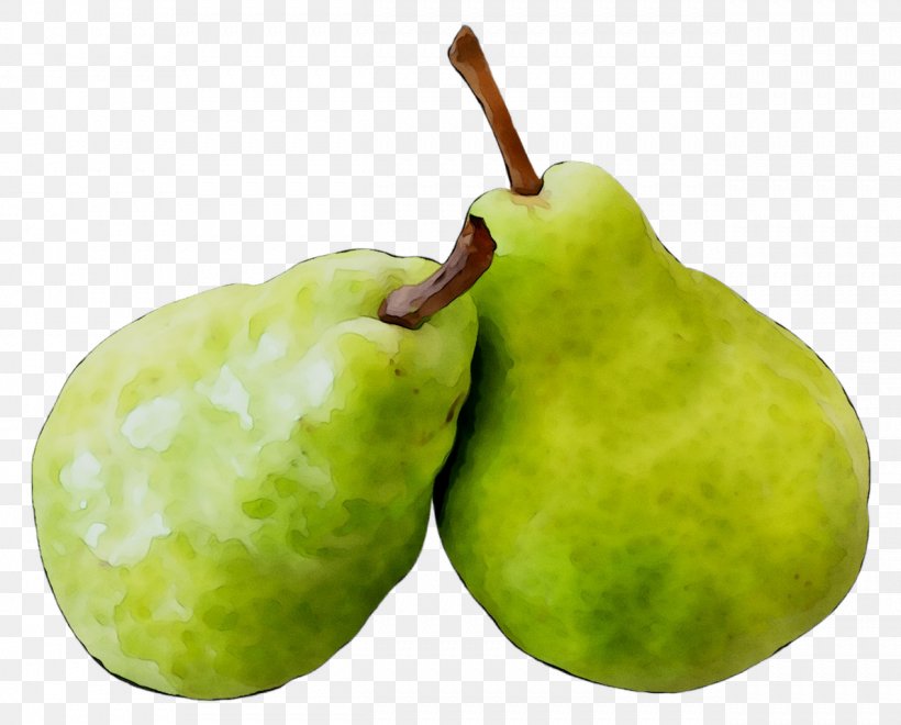 Pear Apple Fahrenheit, PNG, 1271x1024px, Pear, Accessory Fruit, Apple, Chayote, Common Guava Download Free