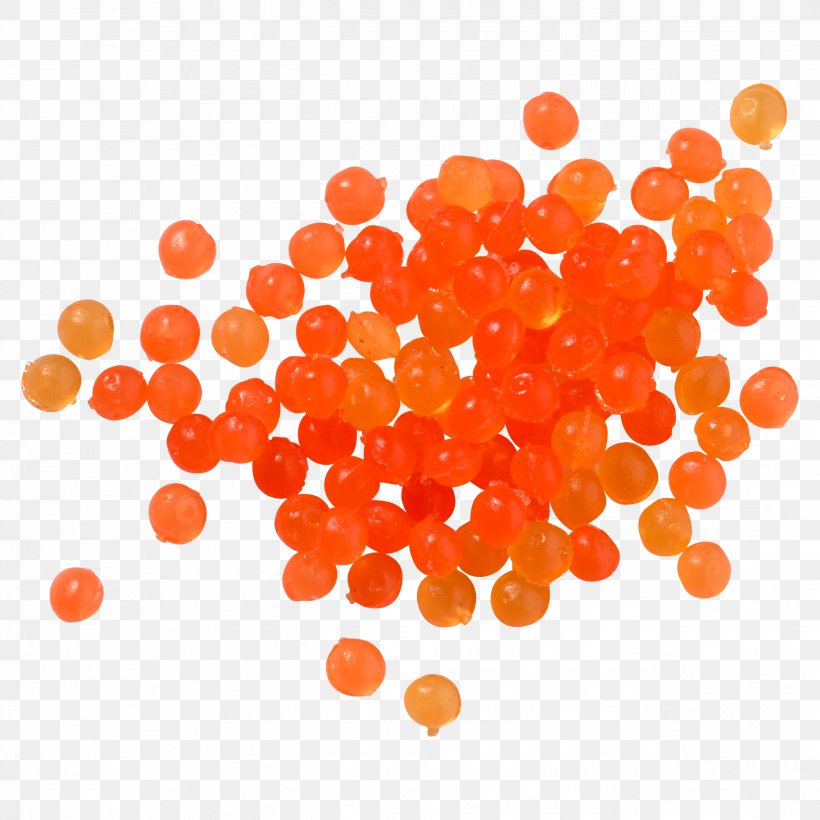 Trout Roe Perch Fishing Baits & Lures Egg, PNG, 2541x2541px, Trout, Brown Trout, Egg, Fishing, Fishing Bait Download Free