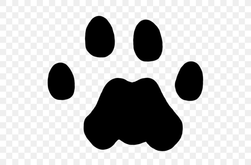 Cougar Lion Dog Animal Track Paw, PNG, 540x540px, Cougar, American Black Bear, Animal Track, Black, Black And White Download Free