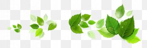 Domestic Cleaning - Green Cleaning Cleaner Maid Service House PNG