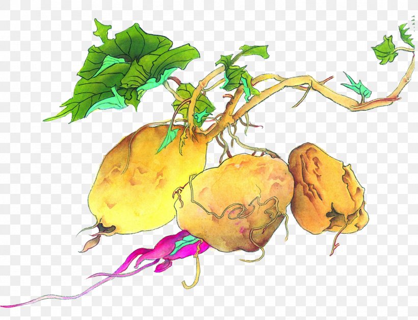 Sweet Potato Food Illustration, PNG, 1505x1152px, Sweet Potato, Animation, Auglis, Cartoon, Comics Download Free
