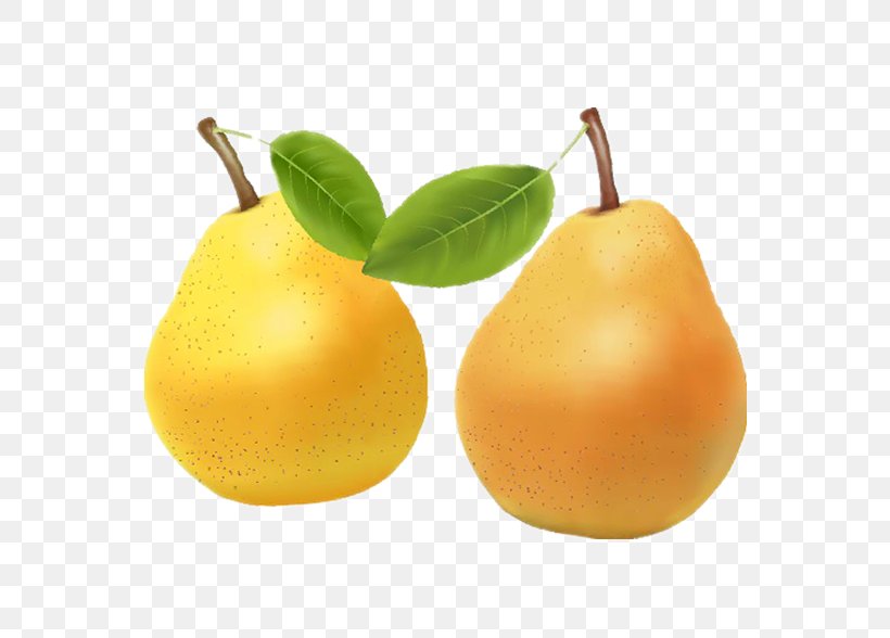 Juice Clementine Pear Mandarin Orange, PNG, 771x588px, Juice, Auglis, Bitter Orange, Citric Acid, Citrus Download Free