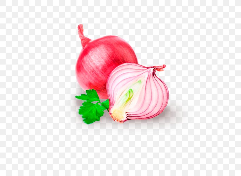 Red Onion Food Stock Photography Health Shallot, PNG, 555x600px, Red Onion, Black Pepper, Bumbu, Food, Fruit Download Free