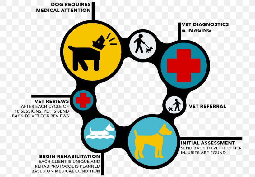 Veterinarian Veterinary Medicine Flowchart Physician, PNG, 1005x700px, Veterinarian, Area, Brand, Communication, Diagram Download Free
