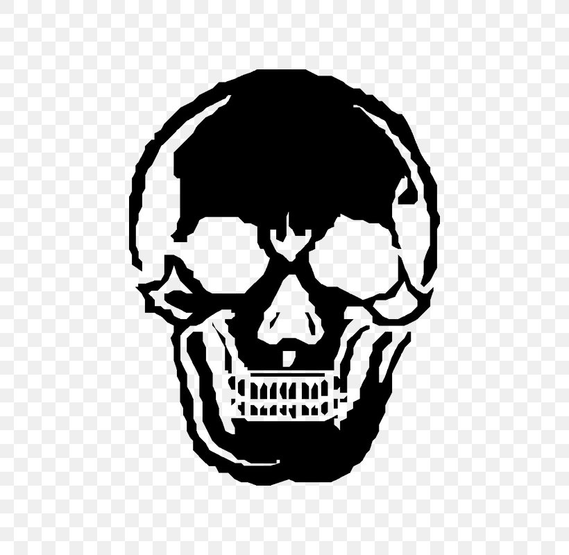 Skull Image Human Skeleton Human Skeleton, PNG, 800x800px, Skull, Black And White, Bone, Facial Hair, Head Download Free