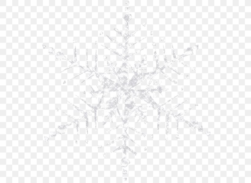 Snowflake Symmetry Line White Pattern, PNG, 600x600px, Snowflake, Black And White, Branch, Leaf, Monochrome Download Free