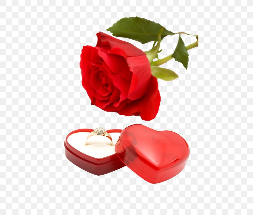 Wedding Invitation Wedding Ring Flower Rose, PNG, 466x699px, Wedding Invitation, Cut Flowers, Diamond, Engagement Ring, Flower Download Free