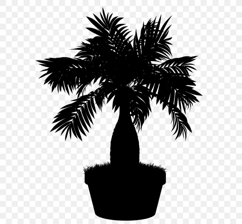 Asian Palmyra Palm Palm Trees Flowerpot Date Palm Silhouette, PNG, 600x758px, Asian Palmyra Palm, Arecales, Attalea Speciosa, Black, Blackandwhite Download Free
