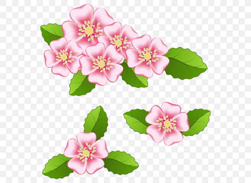 Flower Clip Art, PNG, 585x600px, Flower, Art, Art Museum, Blog, Blossom Download Free