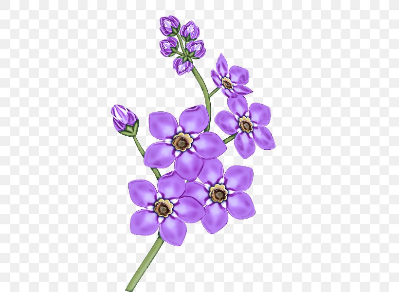 Lavender, PNG, 600x600px, Flowering Plant, Cut Flowers, Flower, Lavender, Lilac Download Free