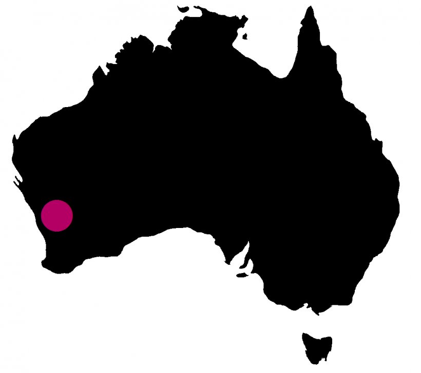 Australia Silhouette, PNG, 1062x944px, Australia, Black, Black And White, Carnivoran, Dog Like Mammal Download Free