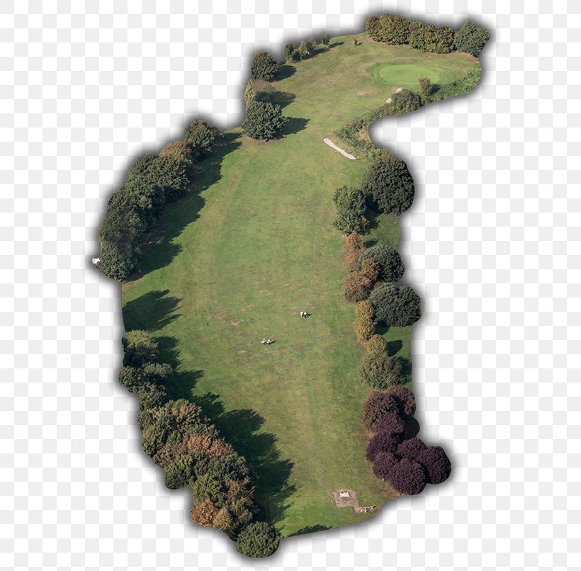 Golf Course Golf Clubs Golf Tees Southsea Golf Club (Portsmouth, Great Salterns), PNG, 600x806px, Golf, Golf Club, Golf Clubs, Golf Course, Golf Tees Download Free