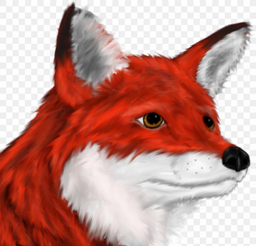 Red Fox Drawing Fox Racing Fur, PNG, 912x876px, Red Fox, Animal, Art, Carnivoran, Deviantart Download Free