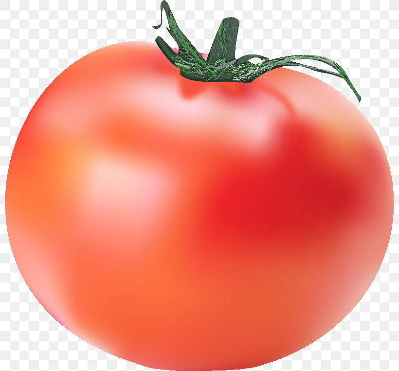 Tomato, PNG, 800x762px, Bush Tomato, Biology, Datterino Tomato, Local Food, Natural Food Download Free