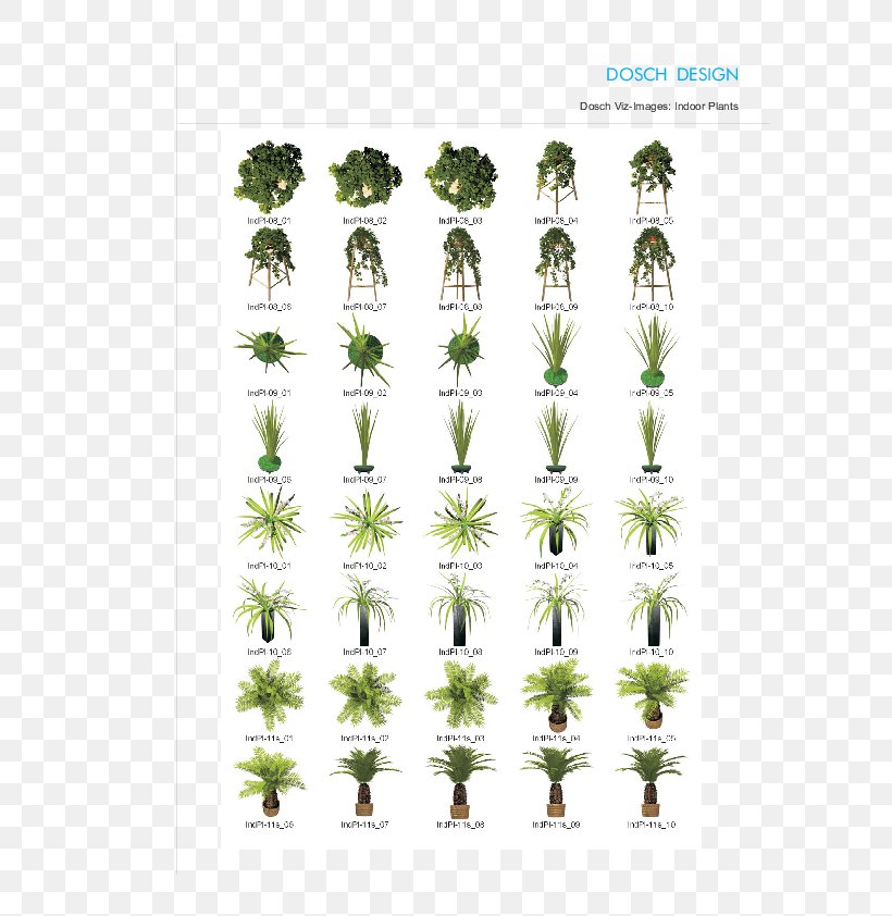 Tree Herb Plant Stem Font, PNG, 595x842px, Tree, Grass, Herb, Plant, Plant Stem Download Free