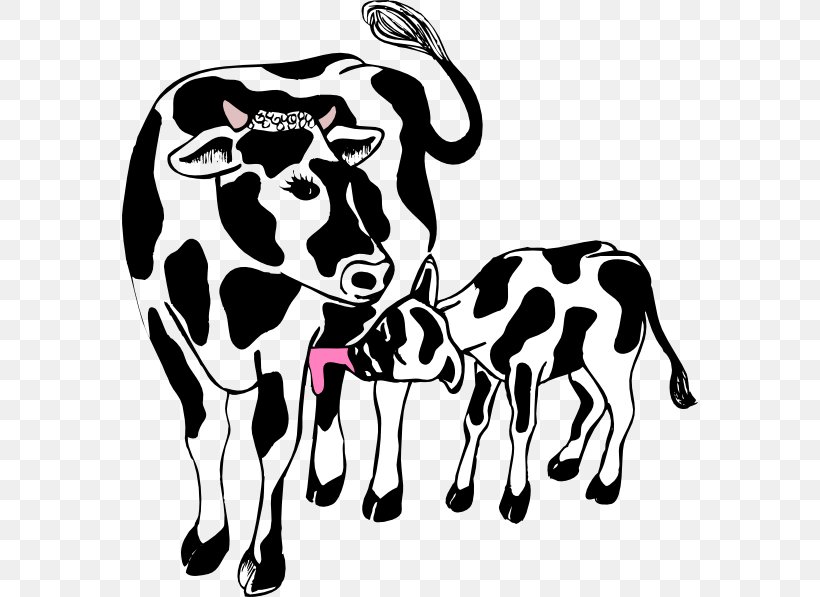 Angus Cattle Beef Cattle Calf Clip Art, PNG, 576x597px, Angus Cattle, Beef Cattle, Black And White, Bull, Calf Download Free