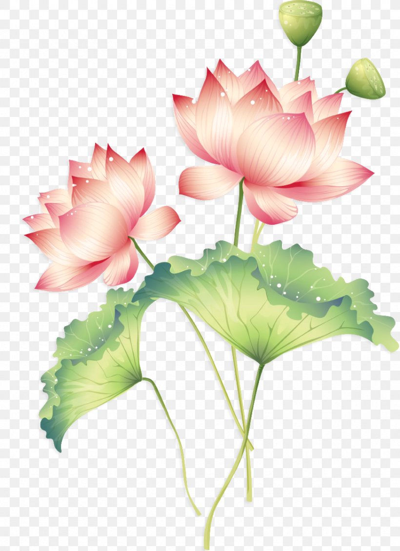 Sichuan Falun Gong Chinese New Year Happiness Loving-kindness, PNG, 871x1201px, Sichuan, Aquatic Plant, Bainian, Bud, China Download Free