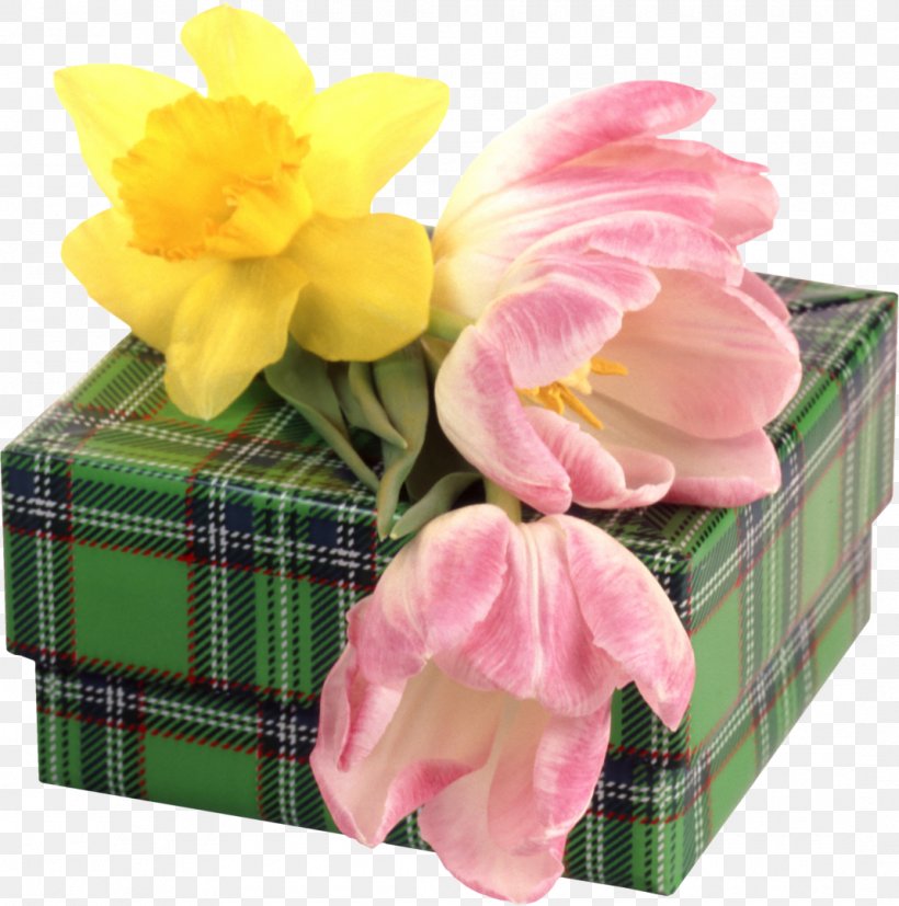 Box Daffodil Gift Tulip, PNG, 1070x1080px, Box, Cut Flowers, Daffodil, Digital Image, Flower Download Free