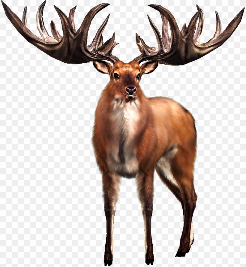 Irish Elk White-tailed Deer Big Buck Hunter, PNG, 878x953px, Elk, Animal, Antler, Arcade Game, Big Buck Hunter Download Free