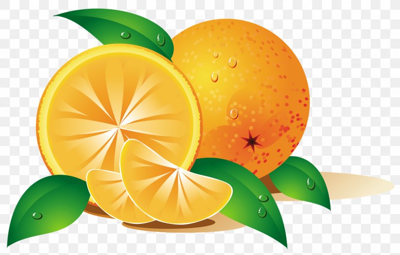 Orange Fruit Clip Art, PNG, 1600x1024px, Orange, Annoying Orange, Bitter Orange, Citric Acid, Citrus Download Free