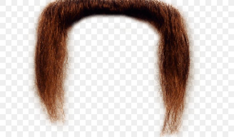 Transparency Moustache Image Hair, PNG, 640x480px, Moustache, Artificial Hair Integrations, Black Hair, Brown, Brown Hair Download Free