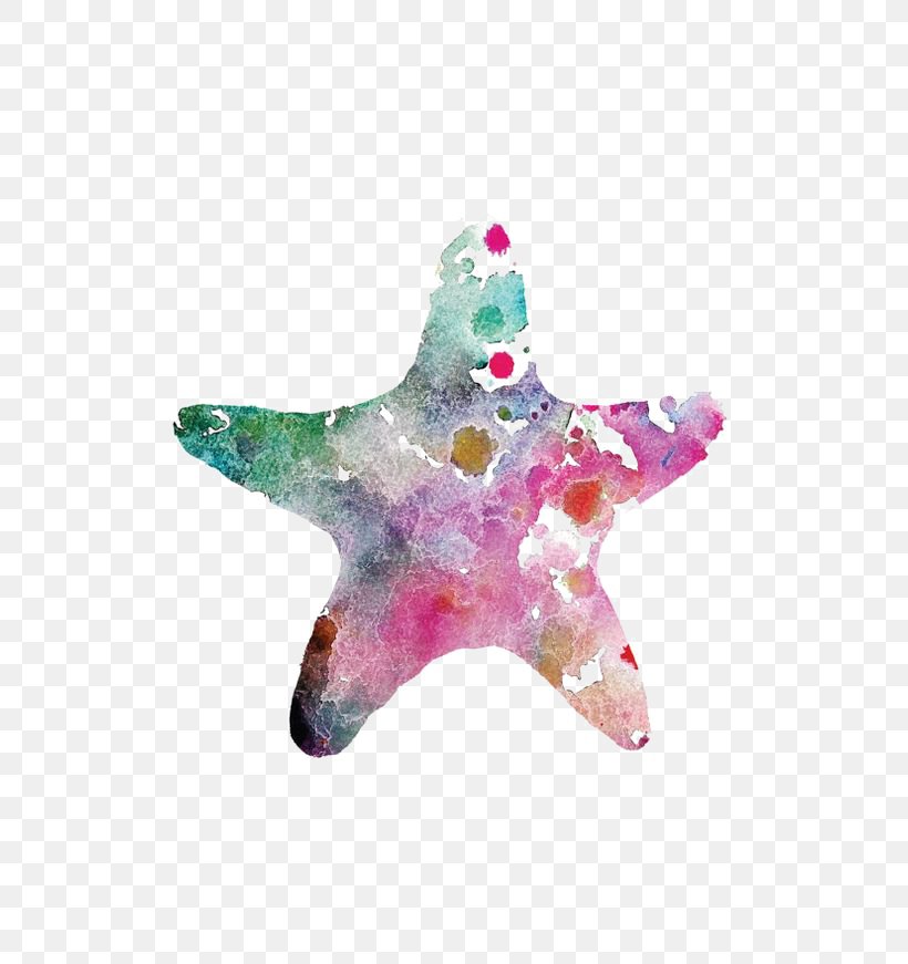 Starfish Watercolor Painting Drawing, PNG, 564x871px, Starfish, Art, Christmas Ornament, Drawing, Painting Download Free