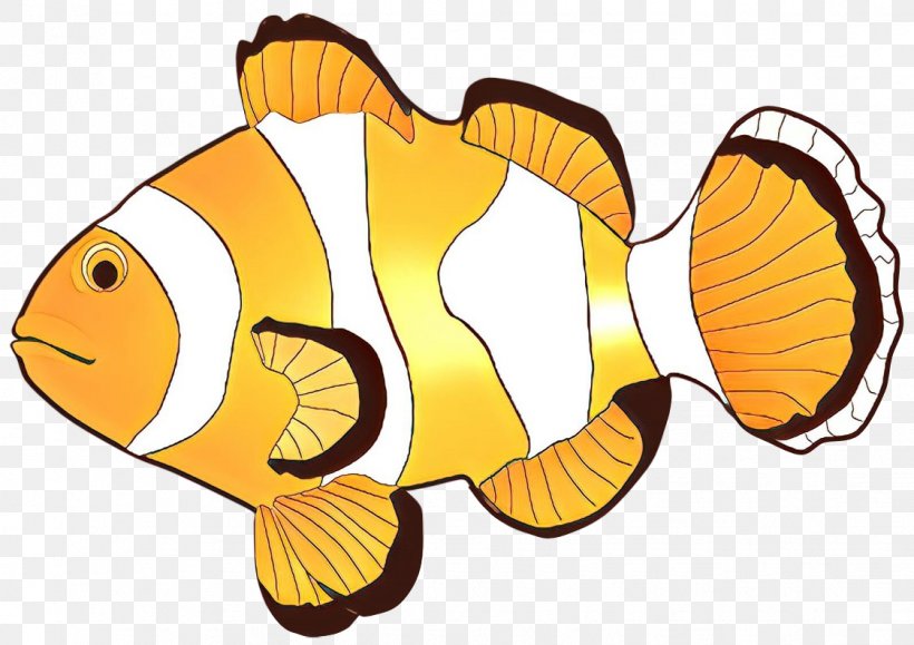 Clip Art Fish Desktop Wallpaper, PNG, 1123x794px, Fish, Anemone Fish, Borders And Frames, Butterflyfish, Clownfish Download Free
