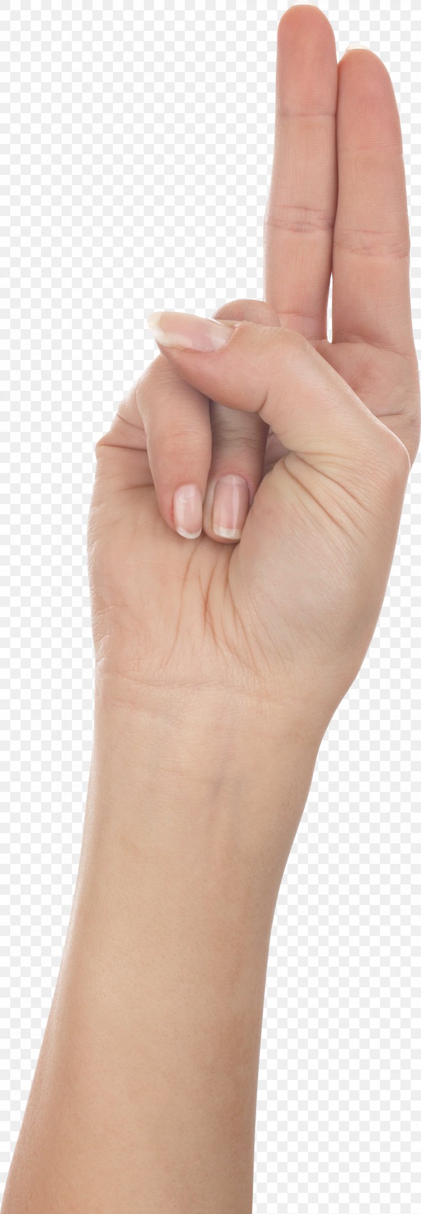 Hand Finger, PNG, 942x2713px, Hand, Arm, Clipping Path, Digital Image, Finger Download Free
