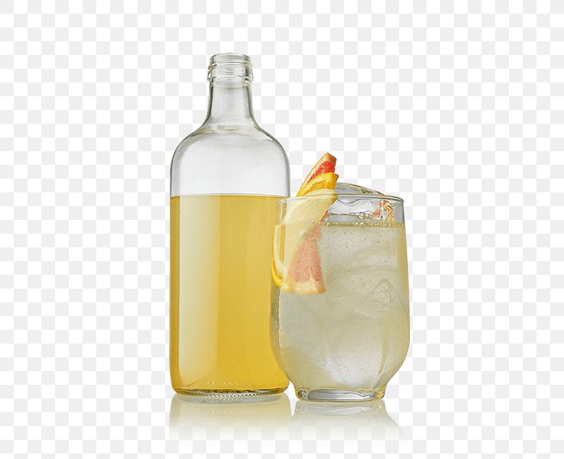 Liqueur Gin And Tonic Vodka Tonic Beefeater Gin, PNG, 500x668px, Liqueur, Bar, Beefeater Gin, Carbonated Water, Citrus Download Free