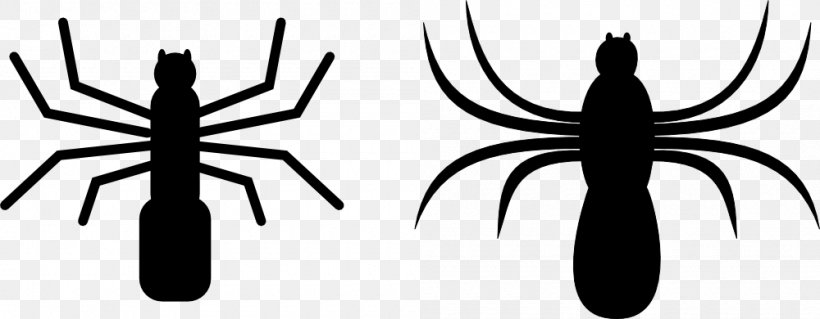 Spider Web Clip Art, PNG, 1000x390px, Spider, Arachnid, Arm, Artwork, Black And White Download Free