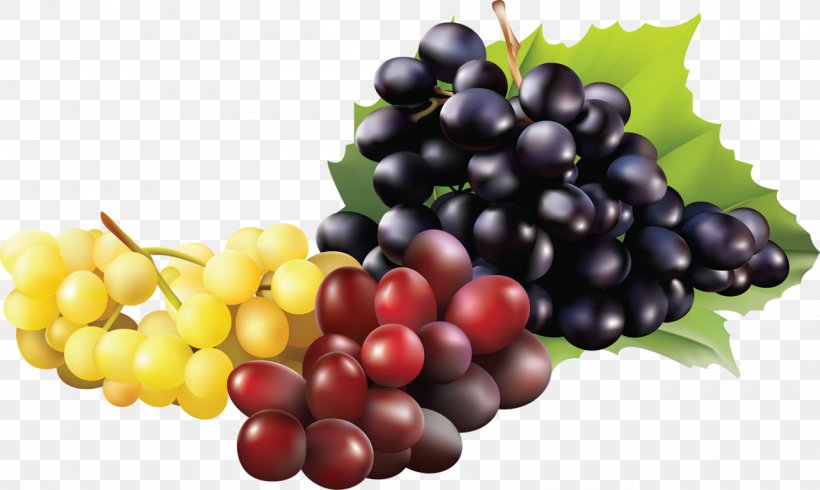 Sultana Grape Kyoho Wine Fruit, PNG, 1280x766px, Sultana, Accessory Fruit, Berry, Common Grape Vine, Currant Download Free