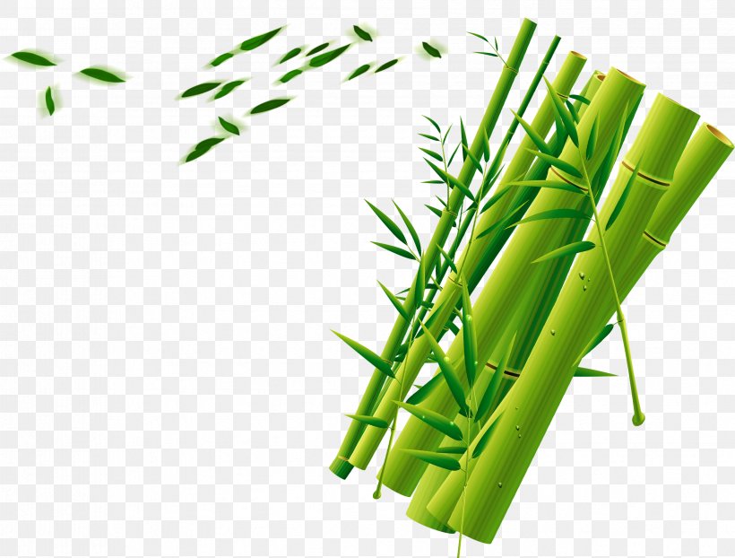Bamboo Green Download, PNG, 3361x2551px, Bamboo, Bamboe, Decorative Arts, Grass, Grass Family Download Free