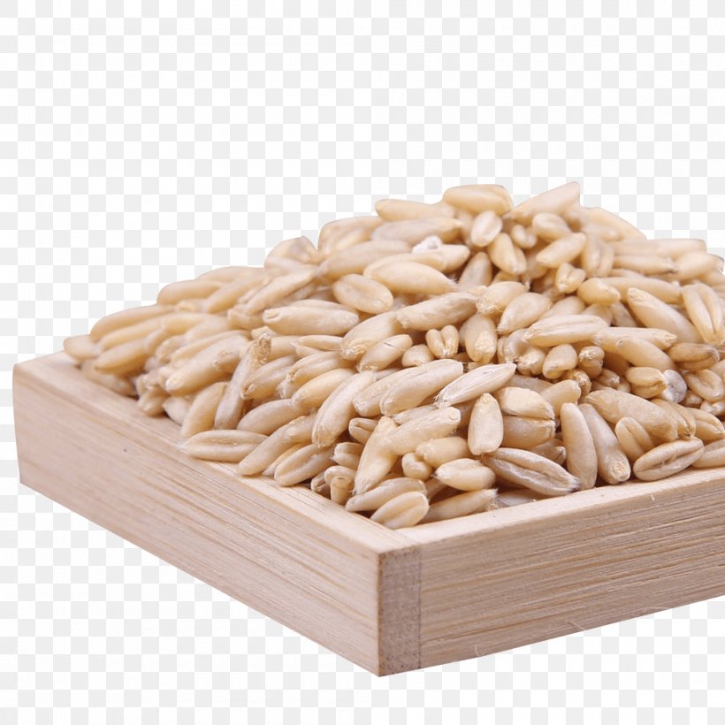 Cereal Germ Five Grains Food Flour, PNG, 1000x1000px, Cereal Germ, Cereal, Commodity, Five Grains, Flour Download Free