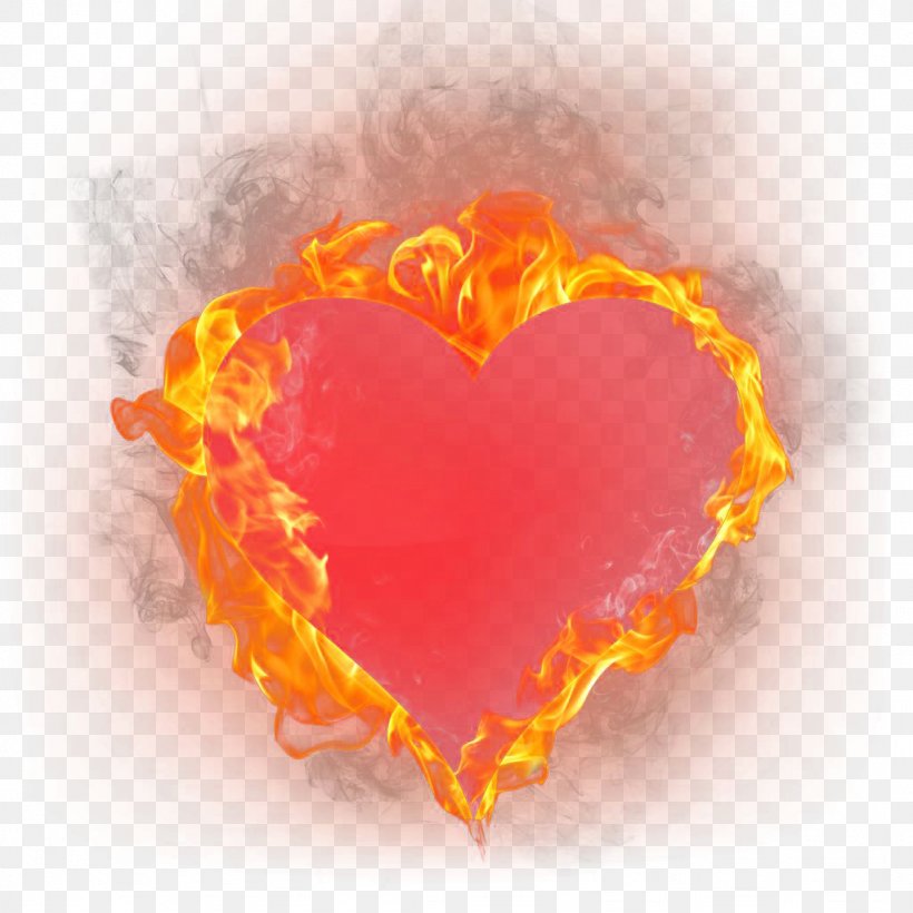Heart Light Flame Clip Art, PNG, 1024x1024px, Heart, Combustion, Fire, Flame, Light Download Free