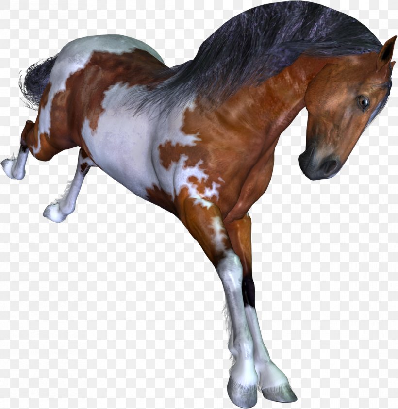 Mustang Colt Foal Stallion Pony, PNG, 1166x1200px, 3d Computer Graphics, Mustang, Animal, Animal Figure, Bit Download Free