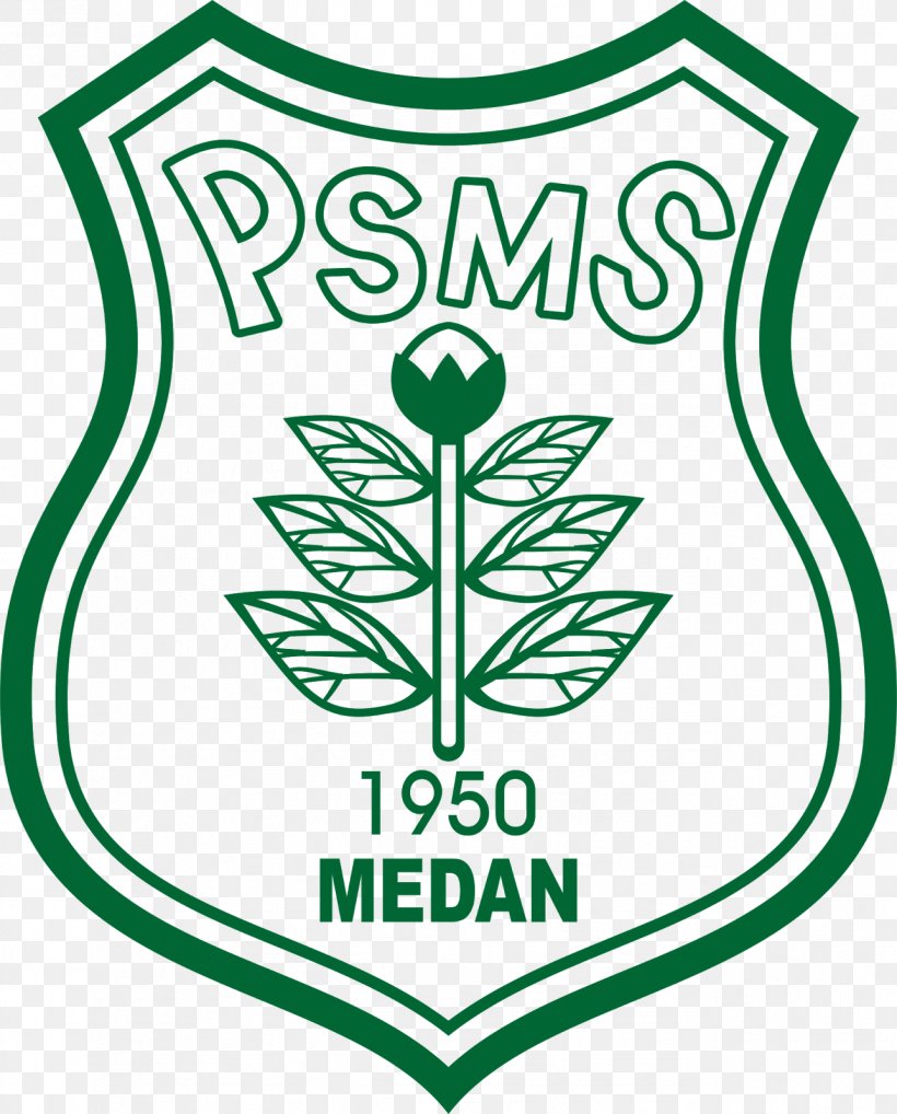 PSMS Medan Persib Bandung 2018 Liga 1 Football, PNG, 1288x1600px, 2018 Liga 1, Psms Medan, Area, Arema Fc, Artwork Download Free