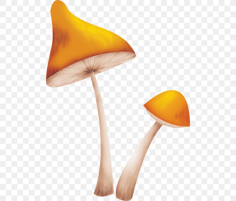 Mushroom Украинский алфавит для детей Fungus, PNG, 500x699px, Mushroom, Android, Fungus, Lossless Compression, Orange Download Free