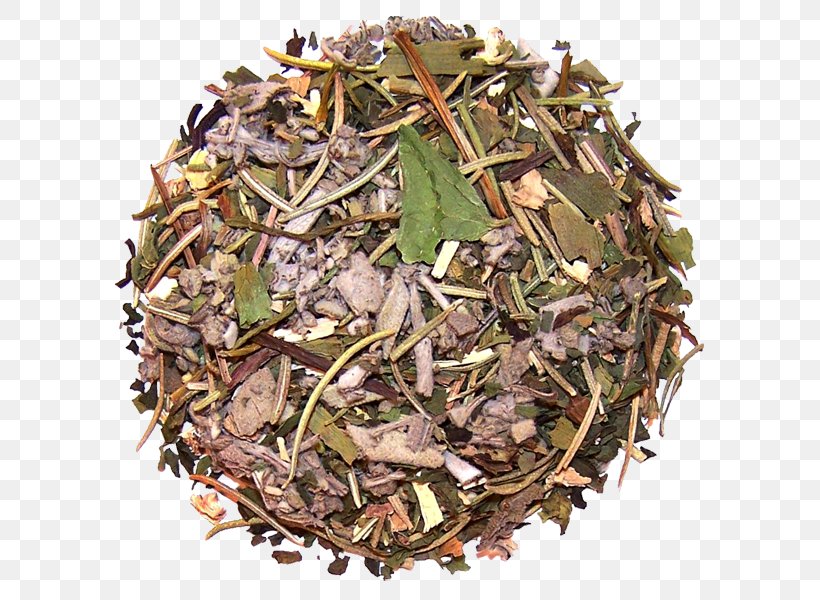 Nilgiri Tea Hōjicha Herb Spice Tea Plant, PNG, 600x600px, Nilgiri Tea, Bai Mudan, Dianhong, Earl Grey Tea, Herb Download Free