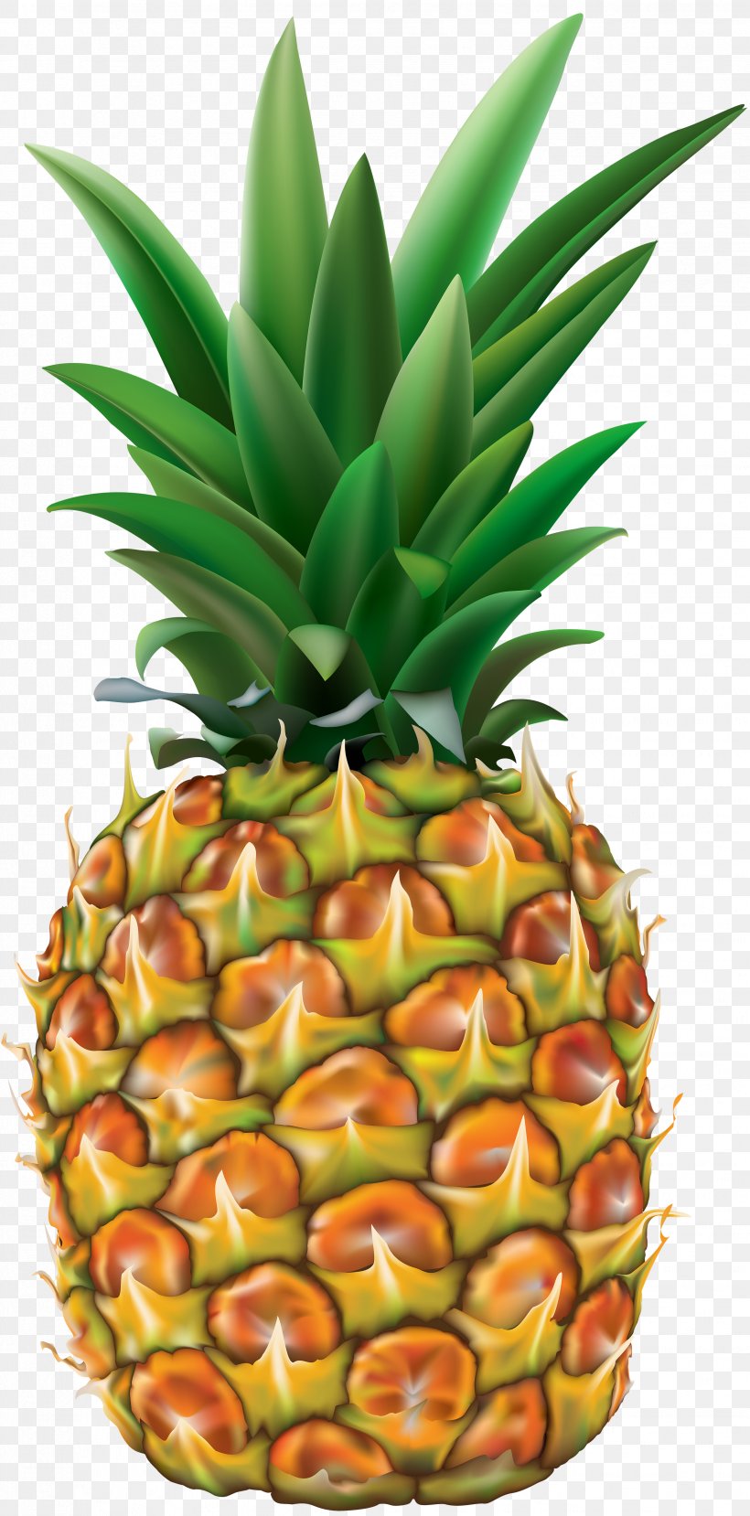 Orange Juice Shasta Pineapple, PNG, 2472x5000px, Juice, Ananas, Bromeliaceae, Drink, Food Download Free