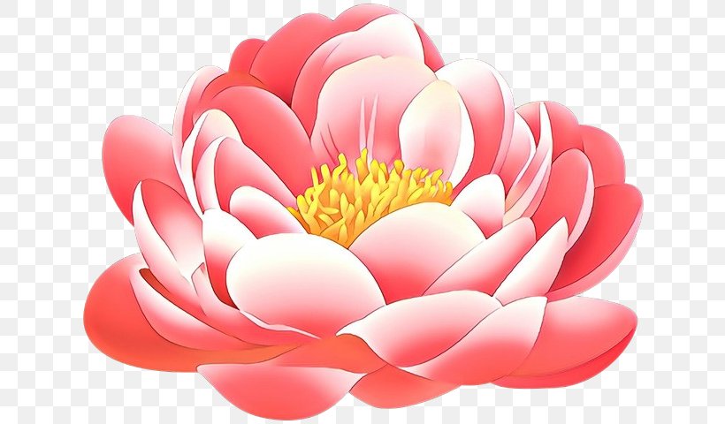 Peony Clip Art Desktop Wallpaper Petal Flower, PNG, 640x480px, Peony, Aquatic Plant, Blog, Botany, Camellia Download Free