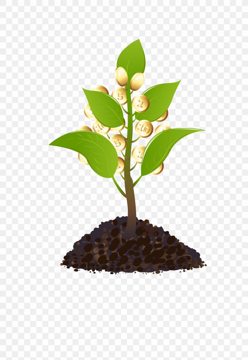 Tree Watering Can Plant Clip Art, PNG, 3706x5378px, Tree, Bonsai, Flowerpot, Garden, Guiana Chestnut Download Free