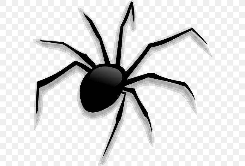 Spider Cartoon Clip Art, PNG, 600x557px, Spider, Animation, Arachnid, Arthropod, Black And White Download Free