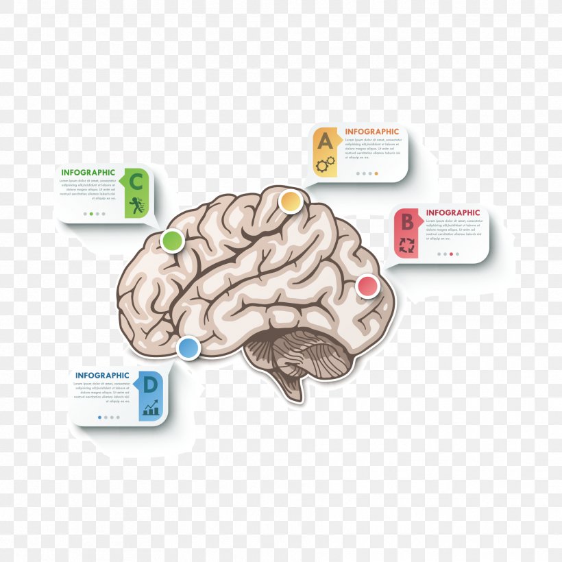 Brain Cerebrum, PNG, 1772x1772px, Watercolor, Cartoon, Flower, Frame, Heart Download Free