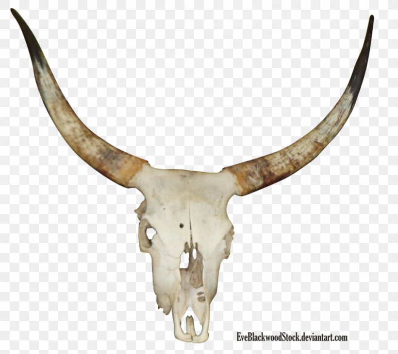 Cattle Eva's Revenge Digital Art, PNG, 948x842px, Cattle, Antelope, Antler, Art, Artist Download Free
