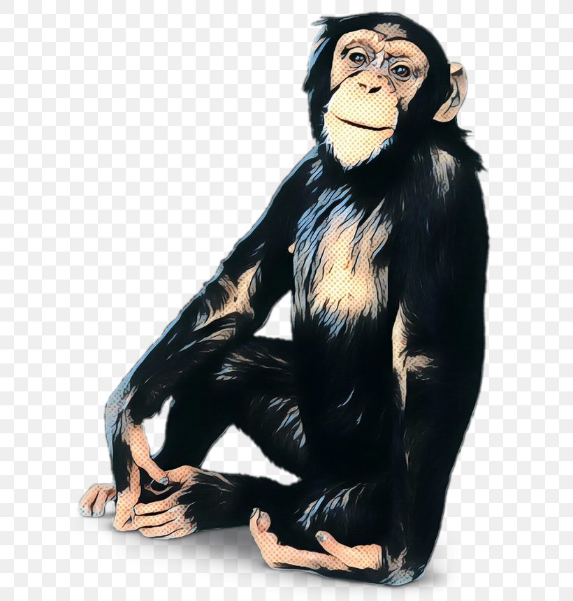 Chimpanzee Gorilla Human Behavior Monkey, PNG, 640x860px, Chimpanzee, Behavior, Black Hair, Character, Common Chimpanzee Download Free