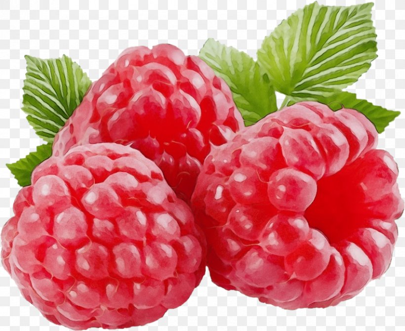 Indian Family, PNG, 850x695px, Raspberry Ketone, Accessory Fruit, Berry, Bitter Orange, Blackberry Download Free